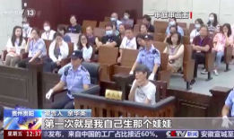 庭审视频,争议焦点与关键证据呈现